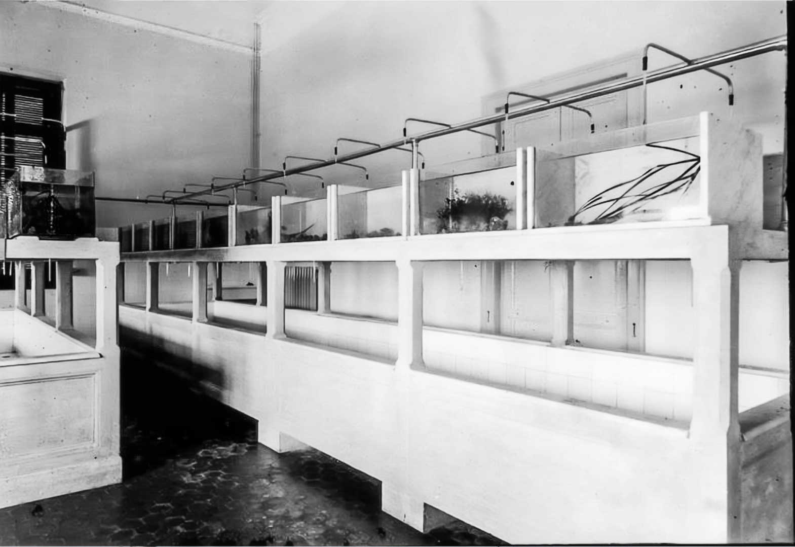 museum8